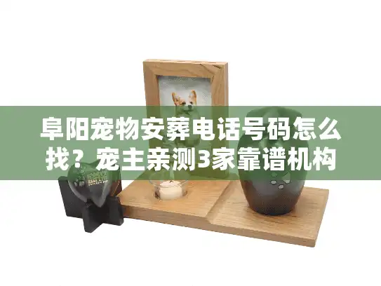 阜阳宠物安葬电话号码怎么找？宠主亲测3家靠谱机构避坑指南