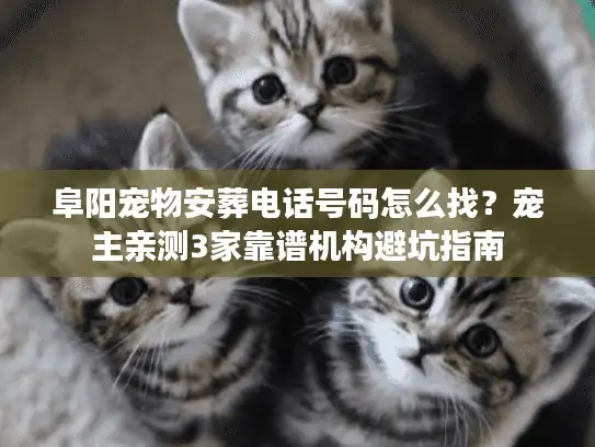 阜阳宠物安葬电话号码怎么找？宠主亲测3家靠谱机构避坑指南