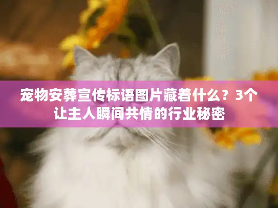 宠物安葬宣传标语图片藏着什么？3个让主人瞬间共情的行业秘密