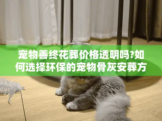 宠物善终花葬价格透明吗?如何选择环保的宠物骨灰安葬方式