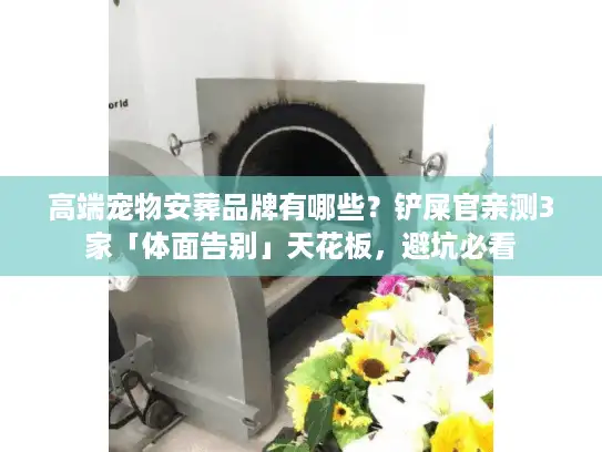 高端宠物安葬品牌有哪些？铲屎官亲测3家「体面告别」天花板，避坑必看