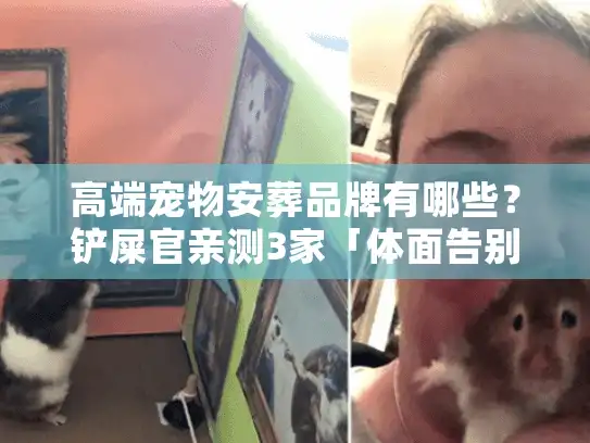 高端宠物安葬品牌有哪些？铲屎官亲测3家「体面告别」天花板，避坑必看