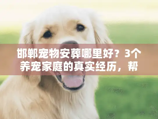 邯郸宠物安葬哪里好？3个养宠家庭的真实经历，帮你避开90%的坑