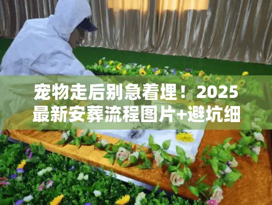 宠物走后别急着埋！2025最新安葬流程图片+避坑细节，90%主人都漏了