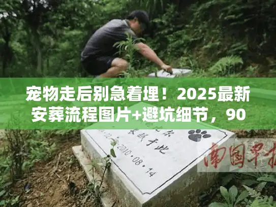 宠物走后别急着埋！2025最新安葬流程图片+避坑细节，90%主人都漏了