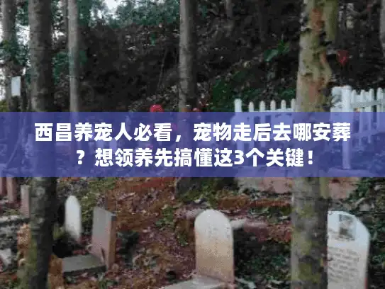 西昌养宠人必看，宠物走后去哪安葬？想领养先搞懂这3个关键！