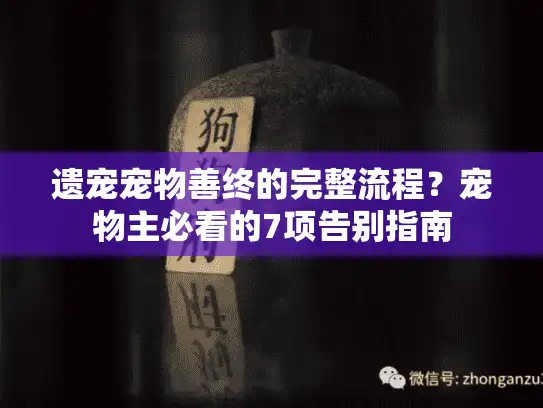 遗宠宠物善终的完整流程？宠物主必看的7项告别指南