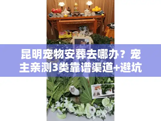 昆明宠物安葬去哪办？宠主亲测3类靠谱渠道+避坑指南