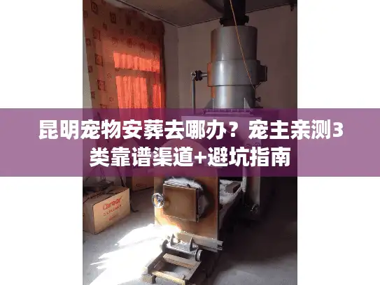 昆明宠物安葬去哪办？宠主亲测3类靠谱渠道+避坑指南