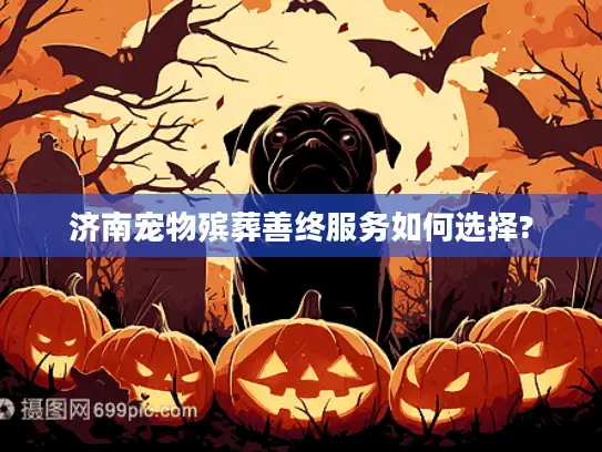 济南宠物殡葬善终服务如何选择?