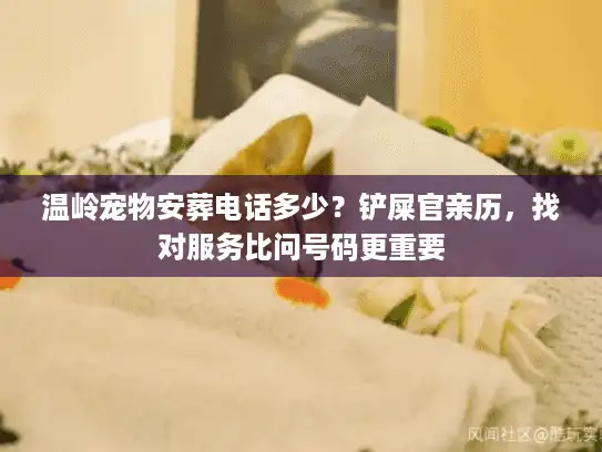 温岭宠物安葬电话多少？铲屎官亲历，找对服务比问号码更重要