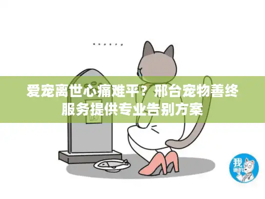 爱宠离世心痛难平？邢台宠物善终服务提供专业告别方案
