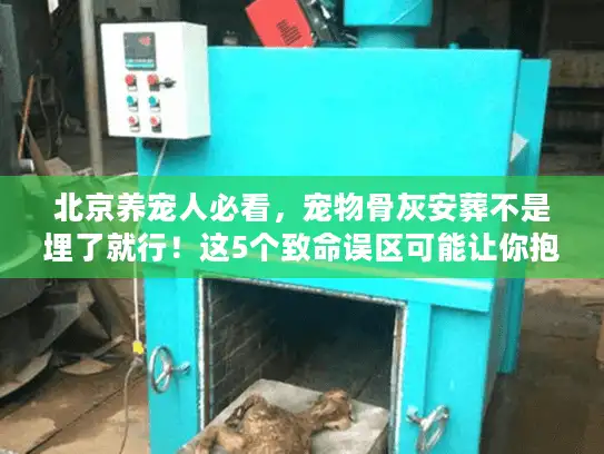 北京养宠人必看，宠物骨灰安葬不是埋了就行！这5个致命误区可能让你抱憾终身