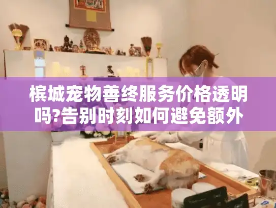槟城宠物善终服务价格透明吗?告别时刻如何避免额外负担