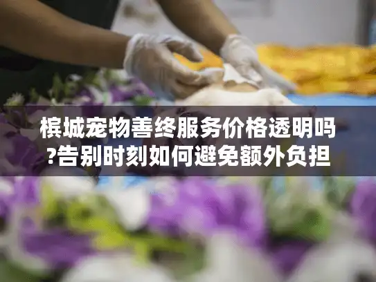 槟城宠物善终服务价格透明吗?告别时刻如何避免额外负担