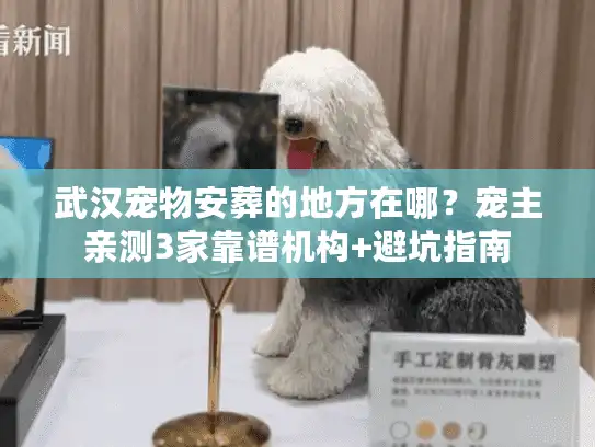 武汉宠物安葬的地方在哪？宠主亲测3家靠谱机构+避坑指南