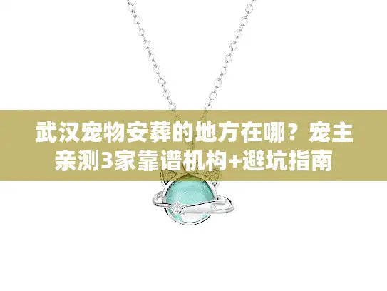 武汉宠物安葬的地方在哪？宠主亲测3家靠谱机构+避坑指南