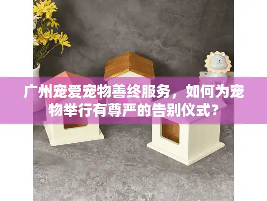 广州宠爱宠物善终服务，如何为宠物举行有尊严的告别仪式？