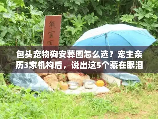 包头宠物狗安葬园怎么选？宠主亲历3家机构后，说出这5个藏在眼泪里的真相
