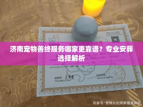 济南宠物善终服务哪家更靠谱？专业安葬选择解析