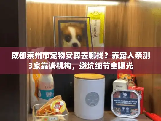 成都崇州市宠物安葬去哪找？养宠人亲测3家靠谱机构，避坑细节全曝光