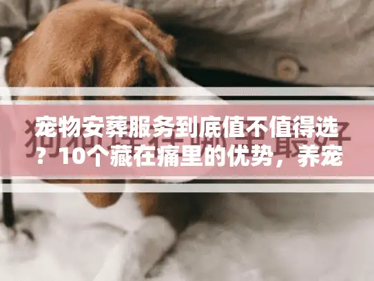 宠物安葬服务到底值不值得选？10个藏在痛里的优势，养宠人必须懂