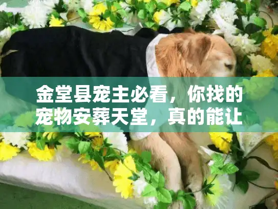 金堂县宠主必看，你找的宠物安葬天堂，真的能让毛孩子好好告别吗？