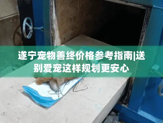 遂宁宠物善终价格参考指南|送别爱宠这样规划更安心