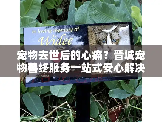 宠物去世后的心痛？晋城宠物善终服务一站式安心解决方案