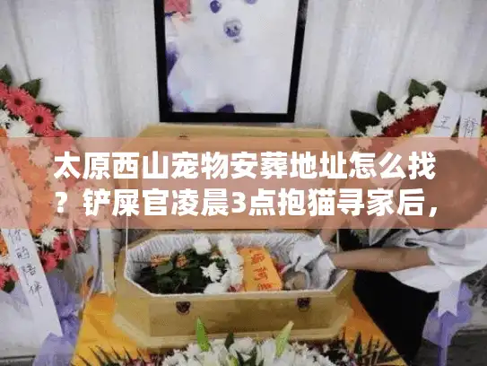 太原西山宠物安葬地址怎么找？铲屎官凌晨3点抱猫寻家后，分享3个靠谱点位+4个避坑教训