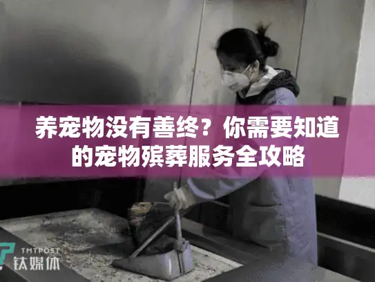 养宠物没有善终？你需要知道的宠物殡葬服务全攻略