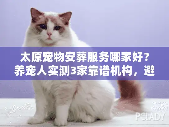 太原宠物安葬服务哪家好？养宠人实测3家靠谱机构，避坑细节全公开