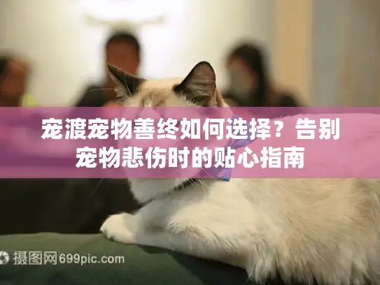 宠渡宠物善终如何选择？告别宠物悲伤时的贴心指南