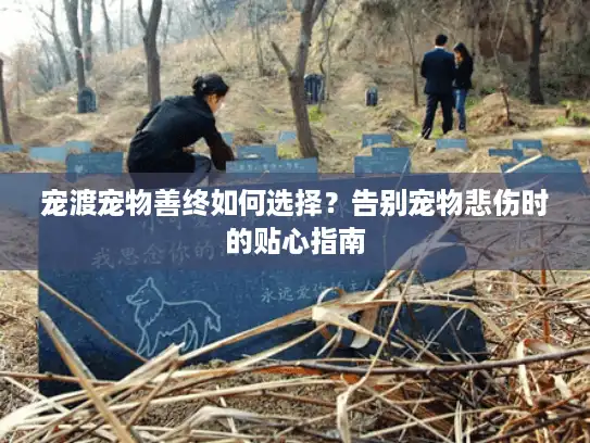 宠渡宠物善终如何选择？告别宠物悲伤时的贴心指南