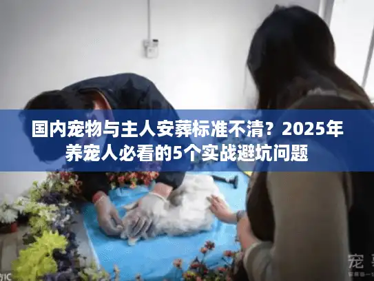 国内宠物与主人安葬标准不清？2025年养宠人必看的5个实战避坑问题