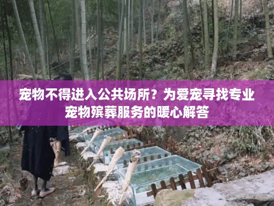 宠物不得进入公共场所？为爱宠寻找专业宠物殡葬服务的暖心解答