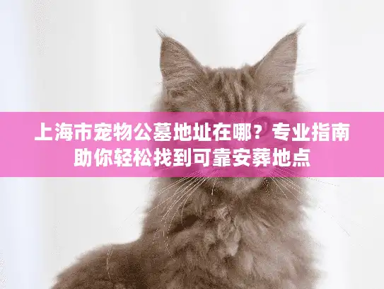 上海市宠物公墓地址在哪？专业指南助你轻松找到可靠安葬地点
