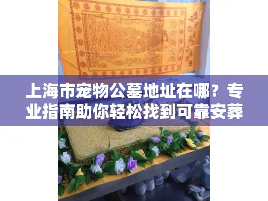 上海市宠物公墓地址在哪？专业指南助你轻松找到可靠安葬地点