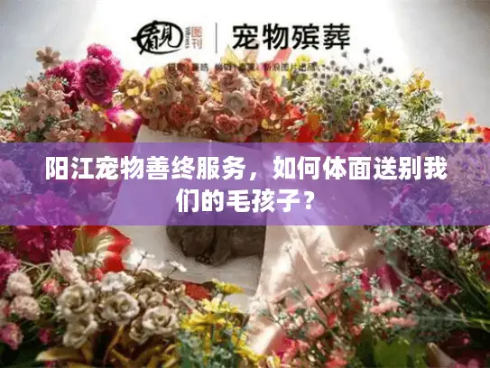 阳江宠物善终服务，如何体面送别我们的毛孩子？