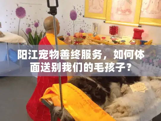 阳江宠物善终服务，如何体面送别我们的毛孩子？