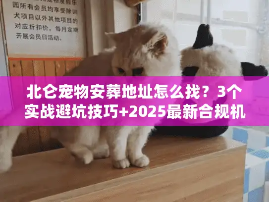 北仑宠物安葬地址怎么找？3个实战避坑技巧+2025最新合规机构清单