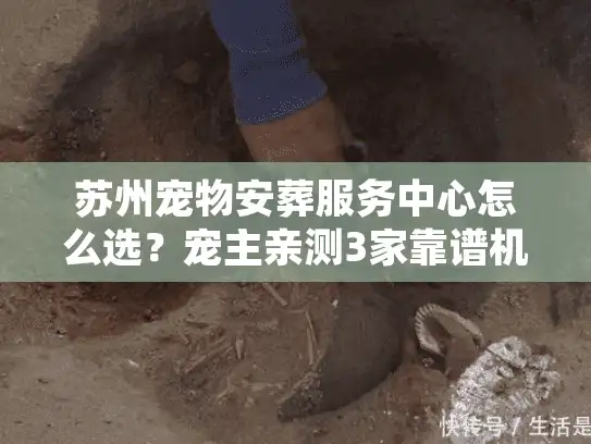 苏州宠物安葬服务中心怎么选？宠主亲测3家靠谱机构，避坑全攻略