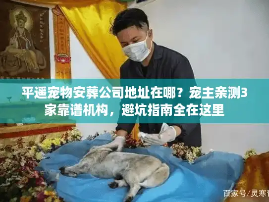 平遥宠物安葬公司地址在哪？宠主亲测3家靠谱机构，避坑指南全在这里