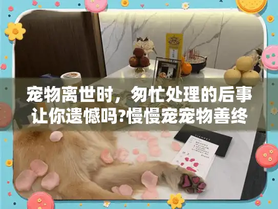 宠物离世时，匆忙处理的后事让你遗憾吗?慢慢宠宠物善终细致安抚指南