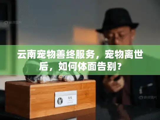 云南宠物善终服务，宠物离世后，如何体面告别？