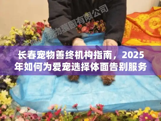 长春宠物善终机构指南，2025年如何为爱宠选择体面告别服务？