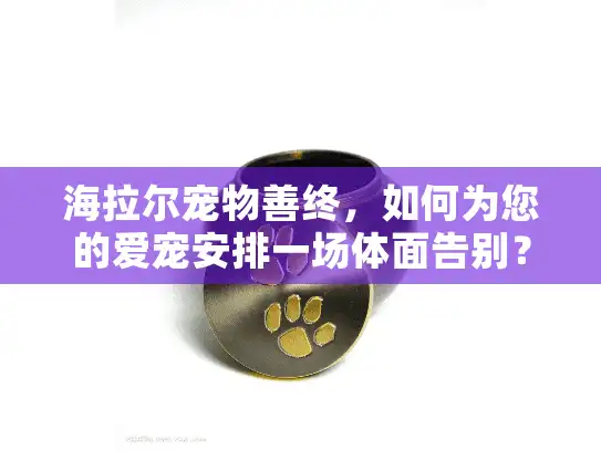 海拉尔宠物善终，如何为您的爱宠安排一场体面告别？