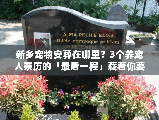 新乡宠物安葬在哪里？3个养宠人亲历的「最后一程」藏着你要的答案