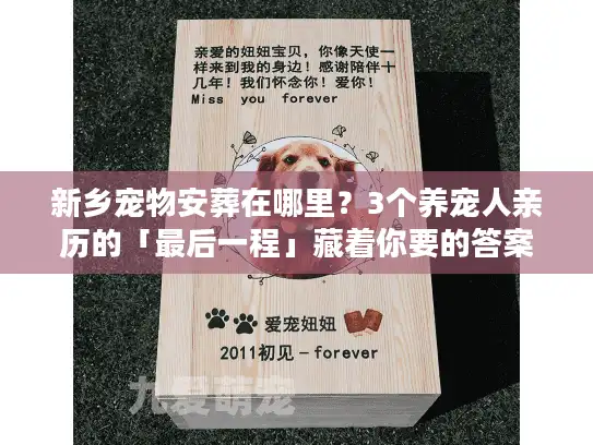 新乡宠物安葬在哪里？3个养宠人亲历的「最后一程」藏着你要的答案