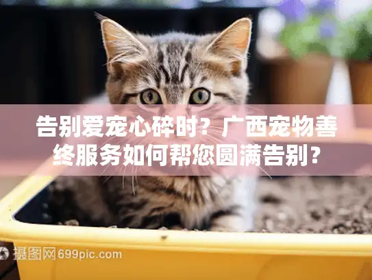 告别爱宠心碎时？广西宠物善终服务如何帮您圆满告别？